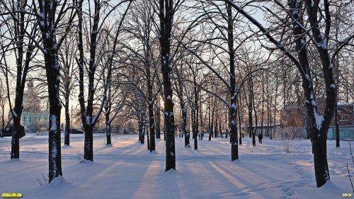 Перспективная ООПТ Роща на улице Полевой