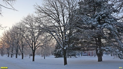 Перспективная ООПТ Роща на улице Ударников