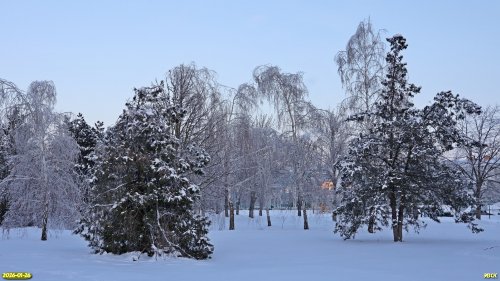 Перспективная ООПТ Роща на улице Ударников