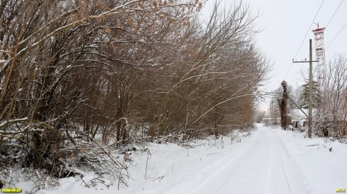 Окраина перспективной ООПТ Восточно-Парковская роща