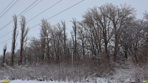 Перспективная ООПТ Ачкасовская роща