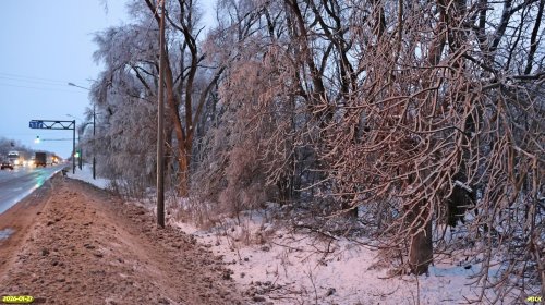 Перспективная ООПТ Северо-Тихорецкая роща