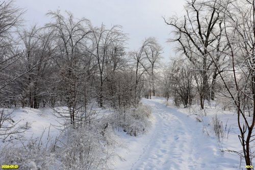 Перспективная ООПТ Лесопарк имени Кочубея