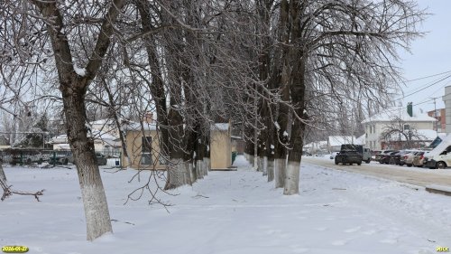 Перспективная ООПТ Аллея на улице Коммунистической