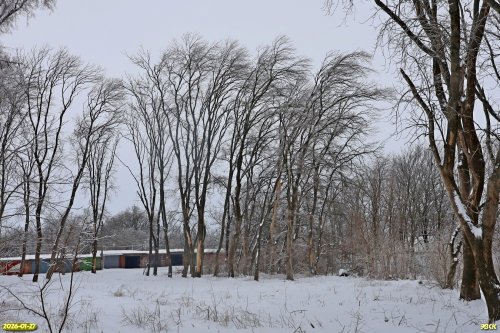 Перспективная ООПТ Западно-Парковская роща
