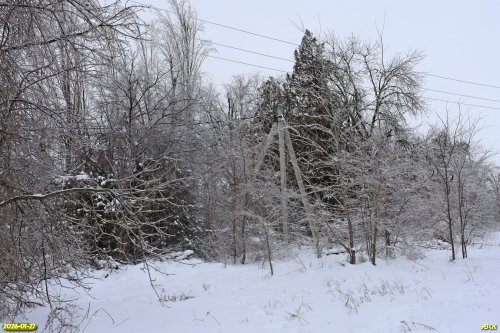 Перспективная ООПТ Роща на улице Промышленной