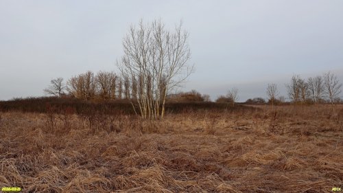 Перспективная ООПТ Копанская степь