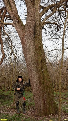 А.Рудомаха на обследовании перспективной ООПТ Восточно-Копанская роща