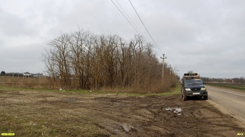 Перспективная ООПТ Восточно-Копанская аллея