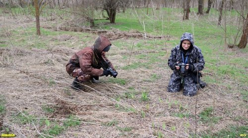 Обследование перспективной ООПТ Южно-Копанская роща 