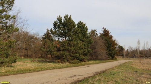 Перспективная ООПТ Учхозовский лесопарк
