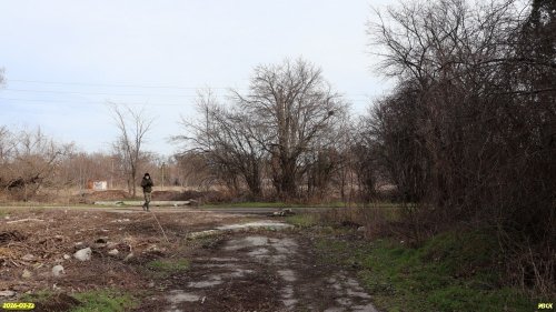 Обследование перспективной ООПТ Учхозовский лесопарк