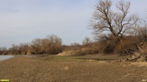 Перспективная ООПТ Нижнехомутовский Кут 