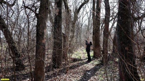 И.Валеева на обследовании перспективной ООПТ Прогрессовская дубрава