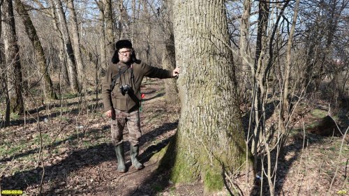 Координатор ЭВСК А.Рудомаха на обследовании перспективной ООПТ Прогрессовская дубрава