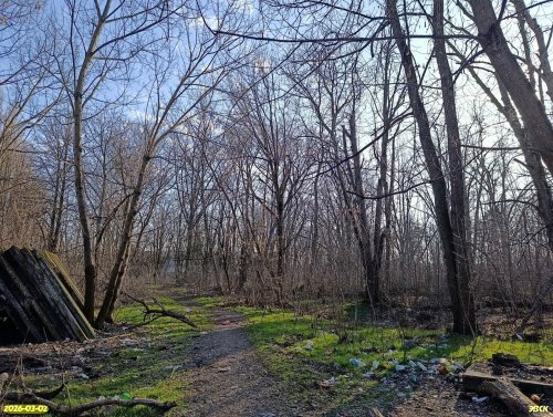 Перспективная ООПТ Березовский парк