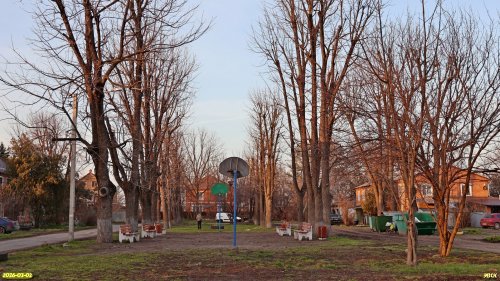 Перспективная ООПТ Аллея на улице Александры Приймак