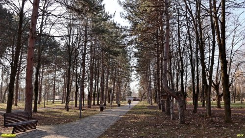 Перспективная ООПТ Городской сад Сосновый (расширение)