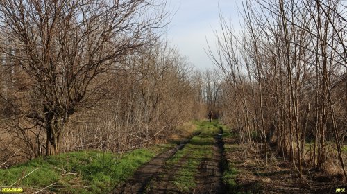 Обследование перспективной ООПТ Второпонурская роща