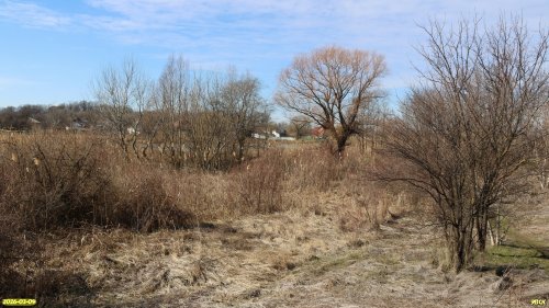 Перспективная ООПТ Белевцев берег Понуры