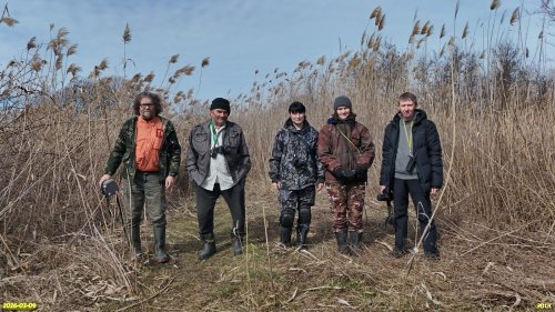 Активисты ЭВСК на обследовании озеленённых территорий в МО Динской район (09.03.2026)