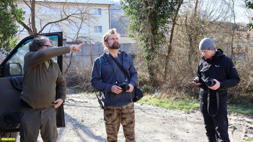 Подготовка к обследованию перспективной ООПТ Гора Школьная (расширение)