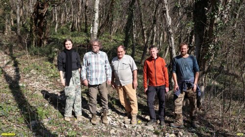 Активисты ЭВСК на обследовании озеленённых территорий в МО Туапсинский округ (12-14.03.2026)