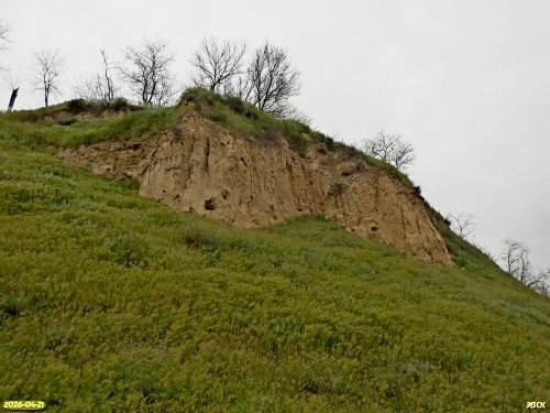 Перспективная ООПТ Южно-Ладожский высокий берег
