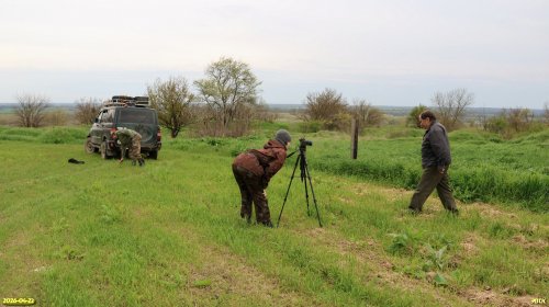 Обследование перспективной ООПТ Селище Разрытый бугор 