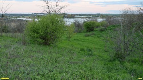 Перспективная ООПТ Согласная степь