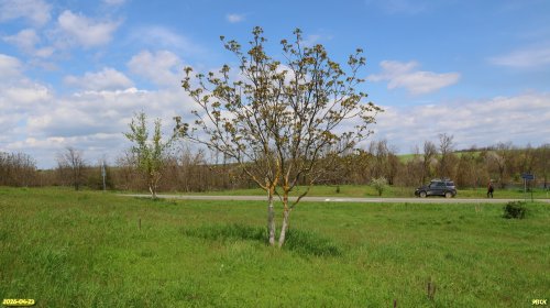 Перспективная ООПТ Балка Юбилейная 