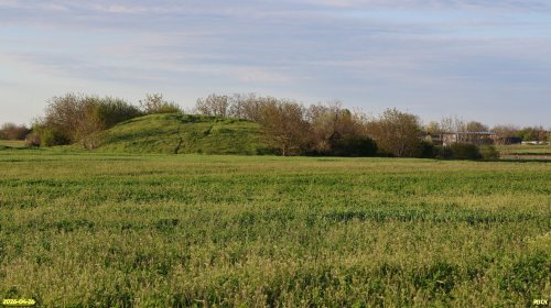 Перспективная ООПТ Западно-Воронежский курган