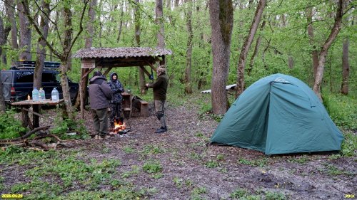 Утро в полевом лагере после ночёвки на территории перспективной ООПТ Никитинский лес
