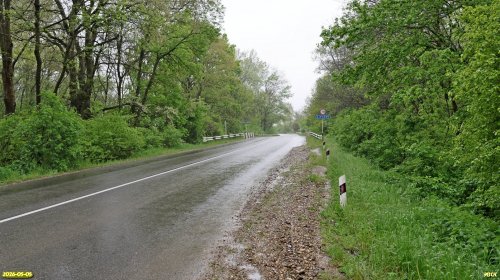 Мост через реку Куафо в перспективной ООПТ Лес Куафо