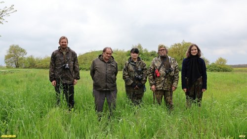 Активисты ЭВСК на обследовании озеленённых территорий в МО Крымский район (05.05.2026)