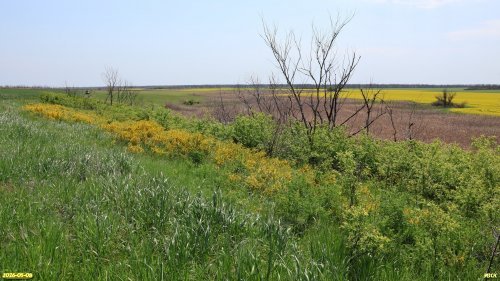 Перспективная ООПТ Верхне-Глебовский участок степи