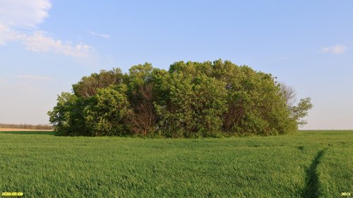 Перспективная ООПТ Серебрянский колок