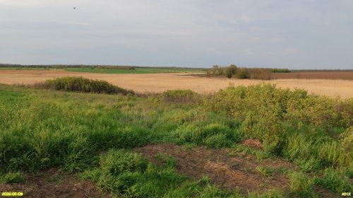 Перспективная ООПТ Серебрянский берег Россоши 