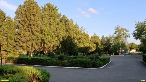 Перспективная ООПТ Роща возле Камаз-центра