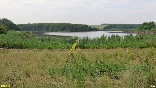 Перспективная ООПТ Нижненский высокий берег 