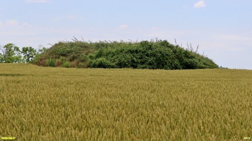 Перспективная ООПТ Курган Миндальный
