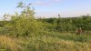 Обследование перспективной ООПТ Восточно-Верёвкинская степь