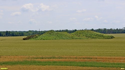 Перспективная ООПТ Курган Скучный