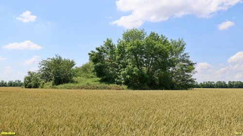 Перспективная ООПТ Восточно-Зиссермановский курган