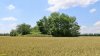 Перспективная ООПТ Восточно-Зиссермановский курган