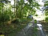 Перспективная ООПТ Западно-Советская роща