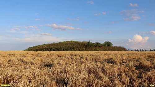 Перспективная ООПТ Курган Западно-Песчаный