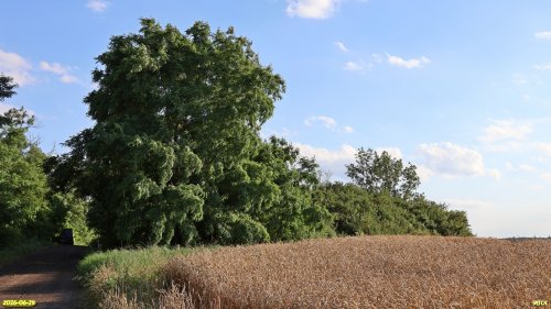 Перспективная ООПТ Курган Песчано-Широколиманский