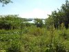 Перспективная ООПТ Весёловский берег Второго Зеленчука 