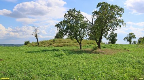 Перспективная ООПТ Курган Солнечный